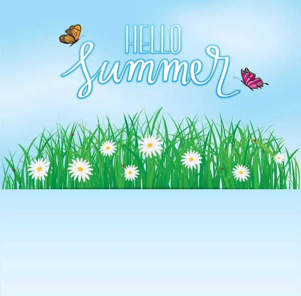 Hola Verano Mariposa Volando Sobre Hierba Con Flores Primavera Fondo — Vector de stock