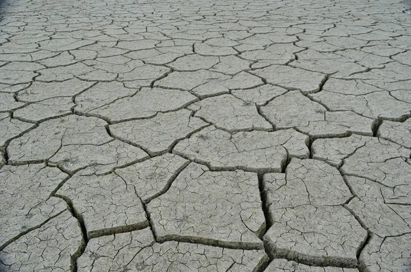 Las grietas están en la tierra Imágenes De Stock Sin Royalties Gratis