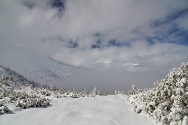 Dağı kış manzarası