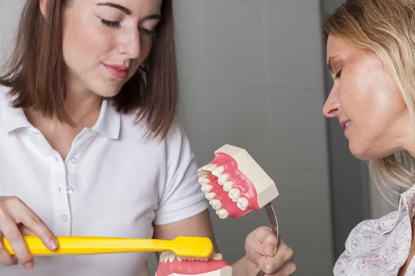 Dentista explica limpeza dos dentes — Fotografia de Stock