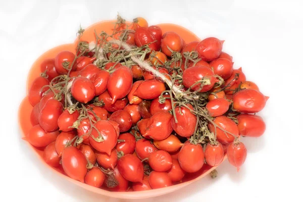 Tomates de Vesúvio — Fotografia de Stock