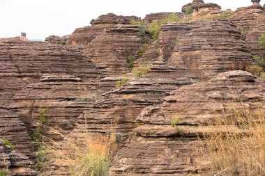 Krep harika, Burkina Faso.