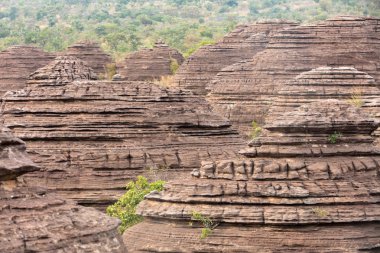 Krep harika, Burkina Faso.
