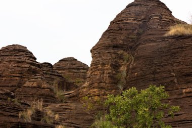 Krep harika, Burkina Faso.