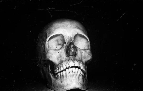 黒い backround の頭蓋骨 — ストック写真