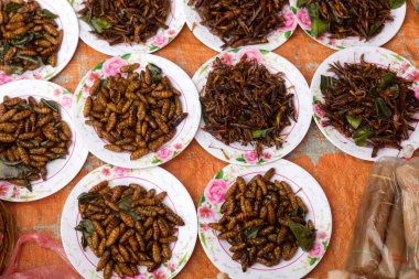 Arı larvaları Market