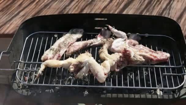 Barbecue met kip — Stockvideo