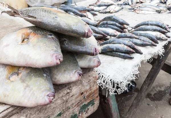 新鲜的海鲜鱼市场 — 图库照片