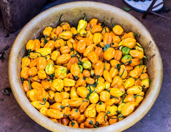 Pimentos expostos no mercado — Fotografia de Stock