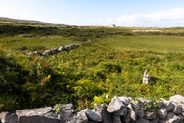 Inish daha fazla, İrlanda