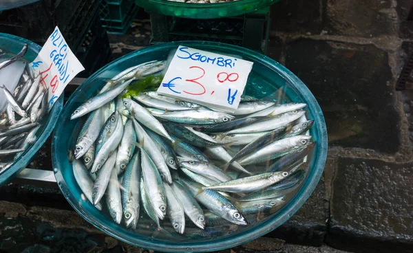 Vis blootgesteld in de markt — Stockfoto