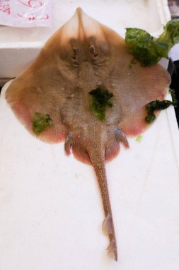 Stingray balık Market