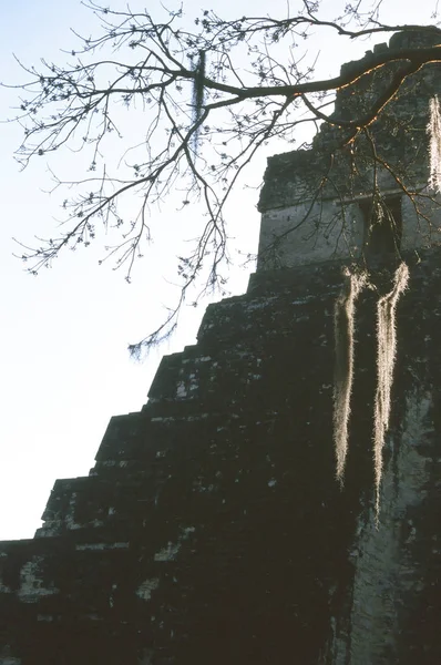 Ruínas maias de Palenque - Chiapas, México — Fotografia de Stock