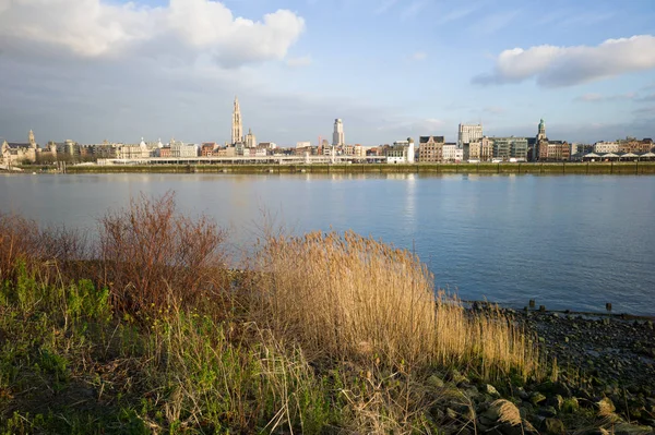 Antwerpen, landschap op de Schelde — Stockfoto
