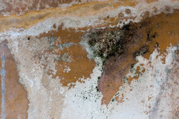 Villa oplontis fresco