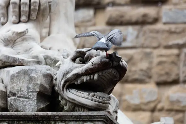 Piazza della signoria — Foto de Stock