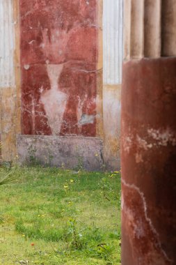 Villa oplontis fresco