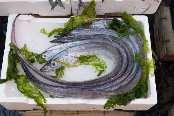 lepidopus uzunkuyruk pazarında