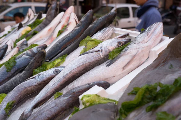 Peixes expostos no mercado — Fotografia de Stock