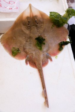 Stingray balık Market