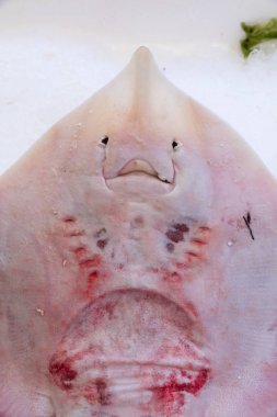 Stingray balık Market