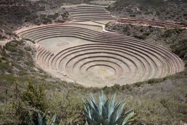 Moray, dairesel teraslar