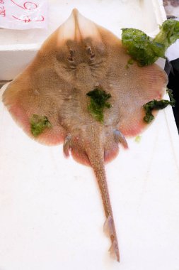 Stingray balık Market