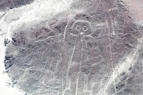 Nazca lines from the aircraft — Stock Photo, Image