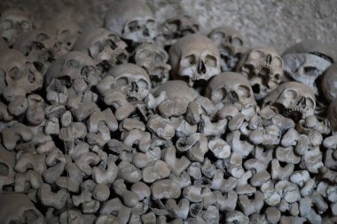 kafatası ve kemikler