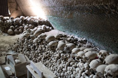 kafatası ve kemikler