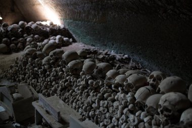 kafatası ve kemikler