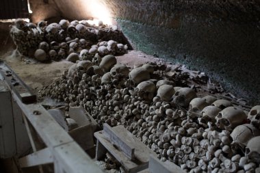 kafatası ve kemikler