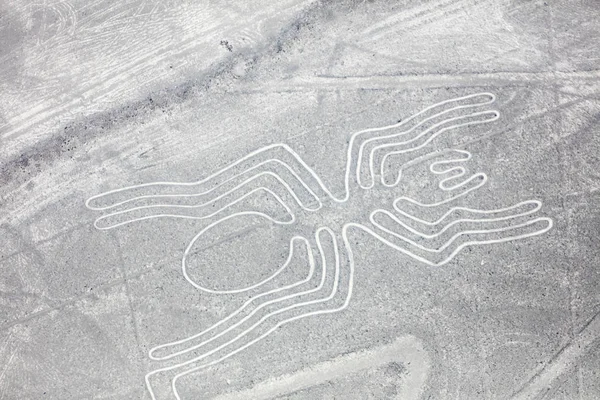 Nazca lines from the aircraft — Stock Photo, Image