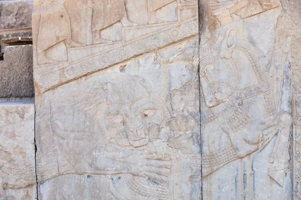 Персеполіс археологічних розкопок, Персії, Іран — стокове фото