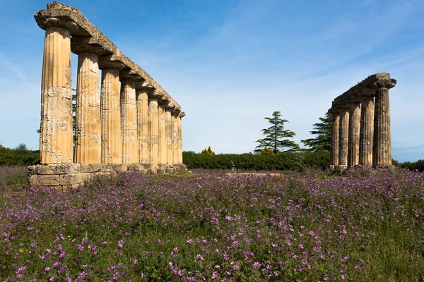 Mesas palatinas, Metaponto — Fotografia de Stock