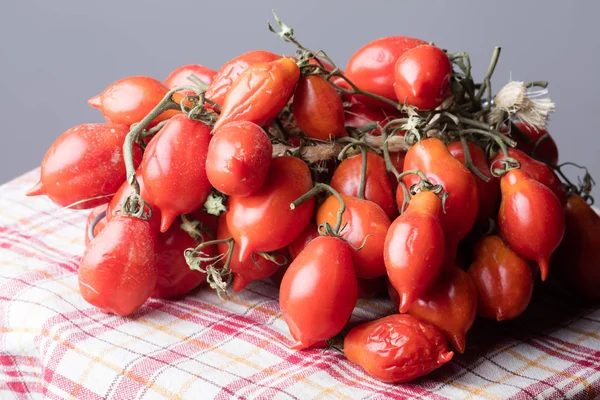 Tomates de Vesúvio — Fotografia de Stock