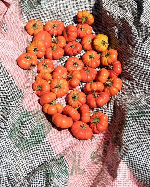 Red peppers in Burkina Faso — Stock Photo, Image