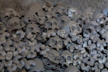 kafatası ve kemikler