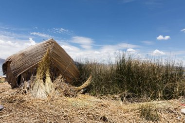 Hayat yakınındaki: Puno, Peru Titicaca gölü