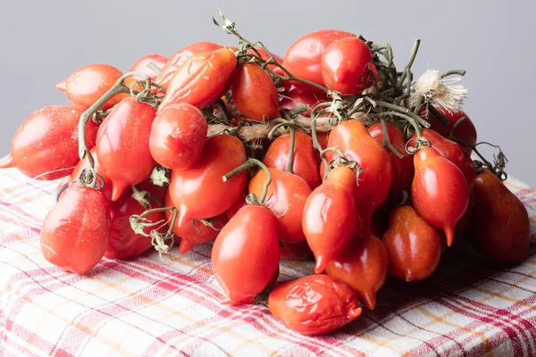 Ντομάτες του Βεζούβιου — Φωτογραφία Αρχείου
