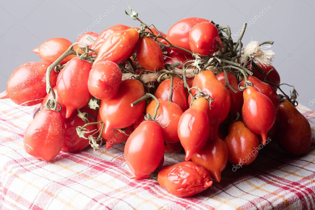 Tomatoes of Vesuvius 