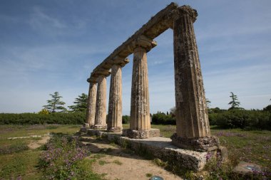 Palatine tablolar, Metaponto