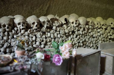 kafatası ve kemikler