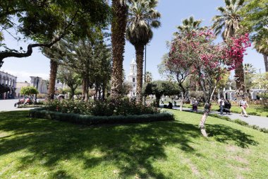 Cathedral in Arequipa