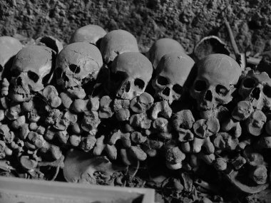 kafatası ve kemikler 