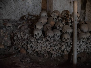 kafatası ve kemikler 