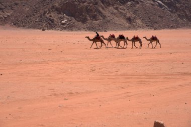  Wadi Rum, Ürdün