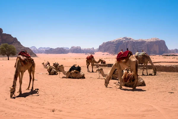 Wadi Rum, Giordania — Foto Stock