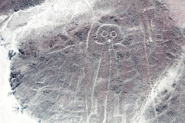 Nazca lines from the aircraft — Stock Photo, Image