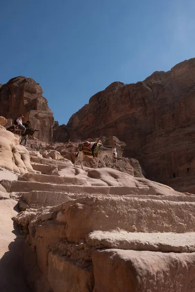 Ruinas Petra Patrimonio Mundial Unesco Jordania — Foto de Stock